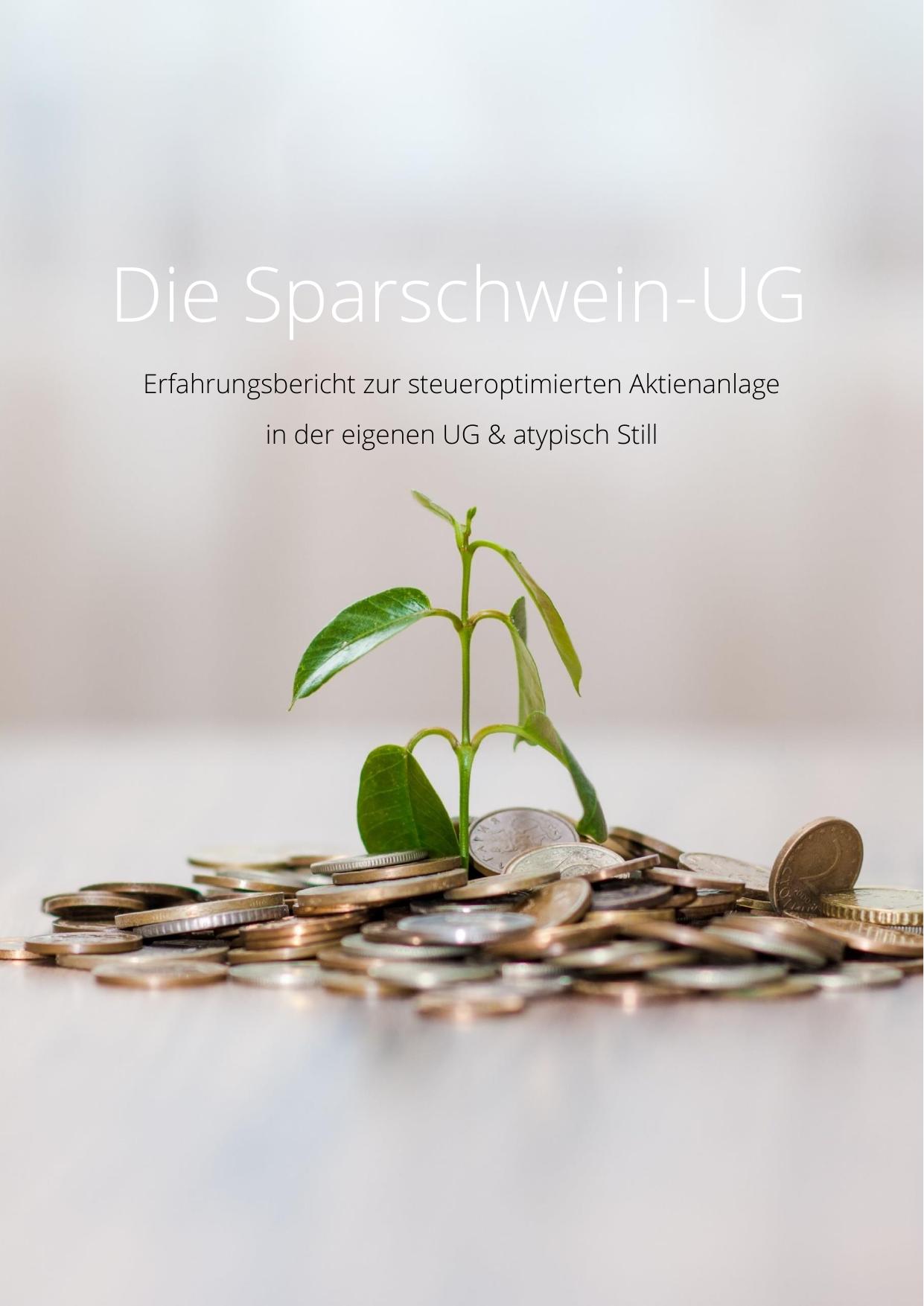 Die Sparschwein-UG